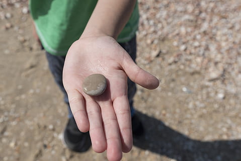 Sea, Stone, Hand, Child, Pebbles, Round, flat, hold, wet, riverside HD wallpaper