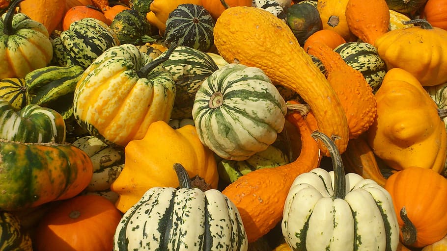 variety of vegetables, Pumpkin, Halol, Halloween, pumpkins HD wallpaper