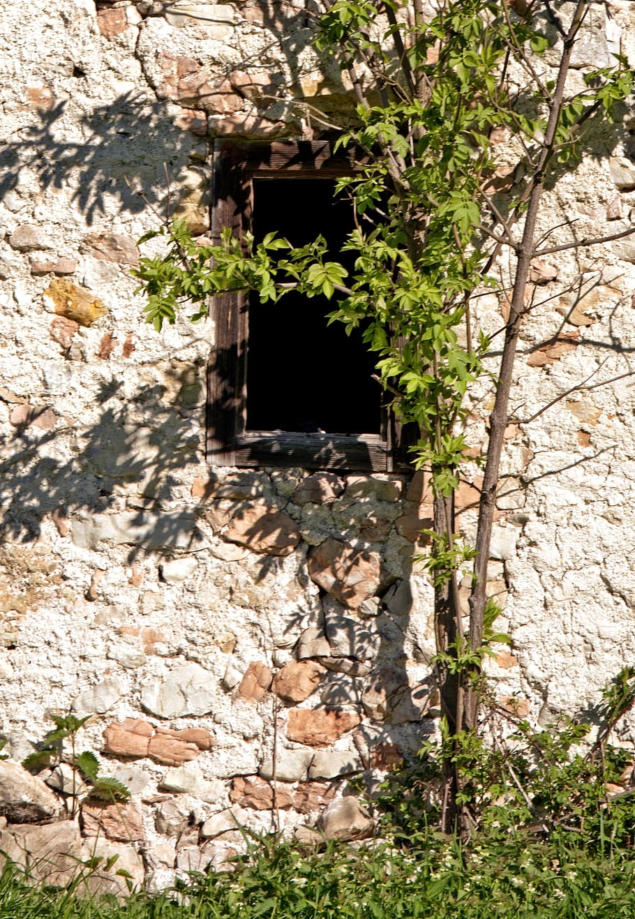 window, old, historically, architecture, hauswand, stone wall HD wallpaper