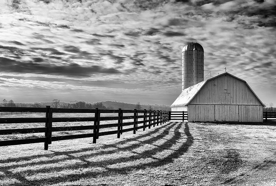 grayscale photo of barn under cloudy sky during daytime, monochrome, HD wallpaper
