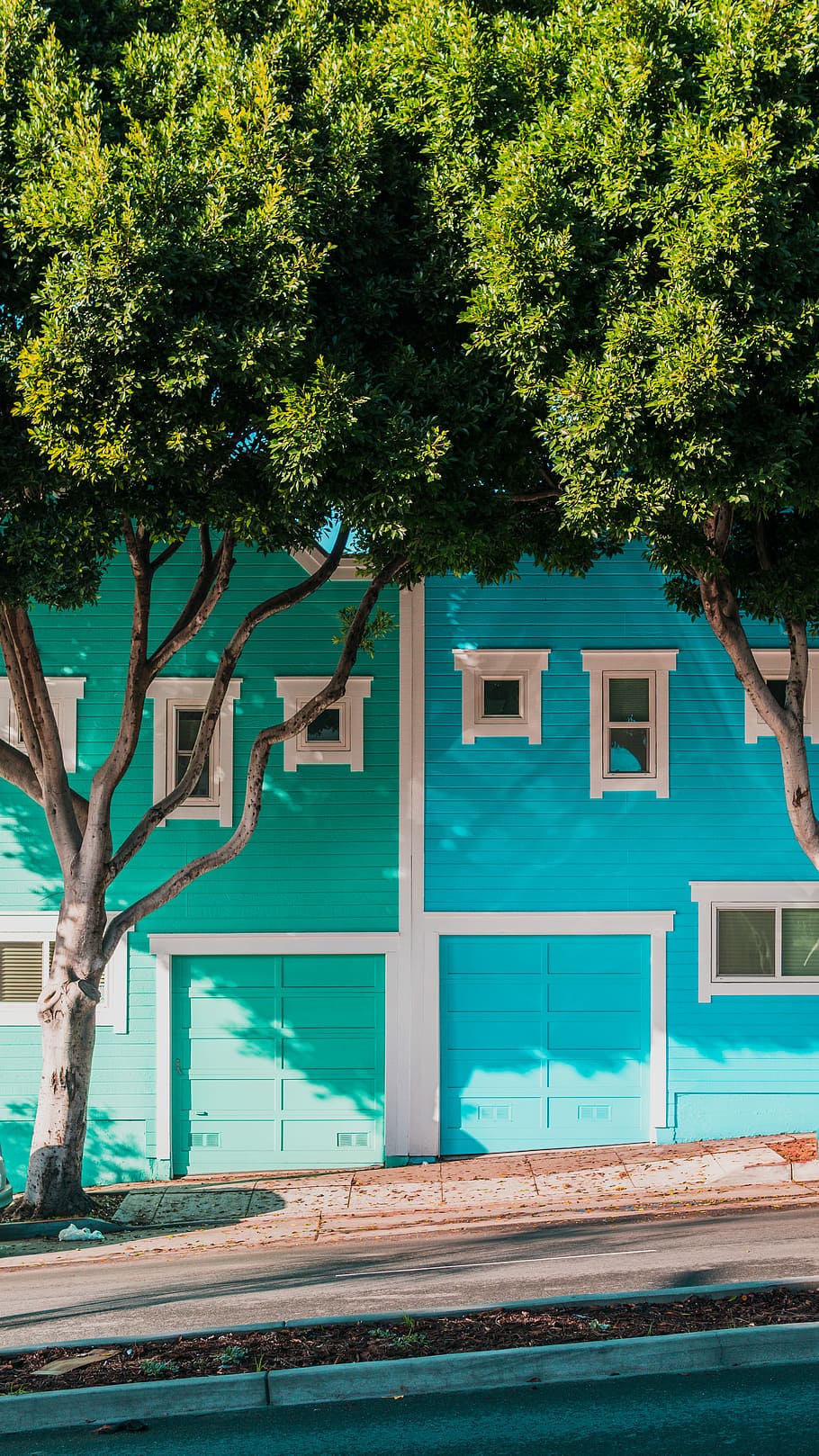 green and blue houses beside trees on sidewalk, photo of teal and blue concrete houses during daytime HD wallpaper