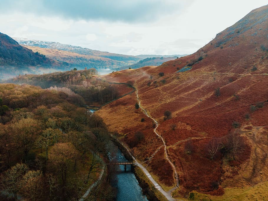 landscape photography of brown hills, birds eye photography of forest HD wallpaper