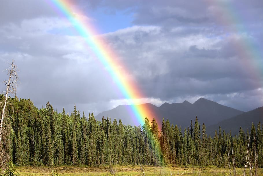 mountain with green trees and rainbow, arch, toad river, rainbow colors HD wallpaper