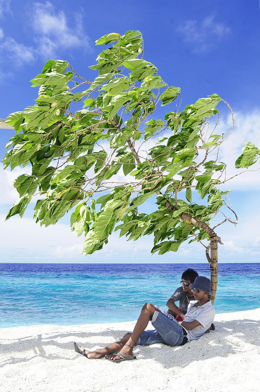 sea, nature, sky, sunny, beach, clouds, couple, island, leaves HD wallpaper