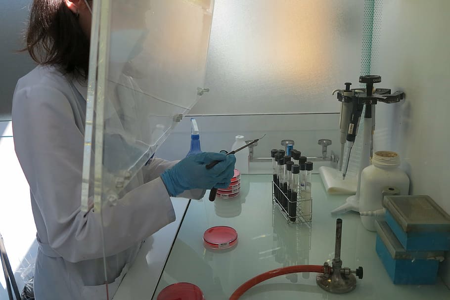 woman holding needle beside the table, lab, analysis, campaign HD wallpaper
