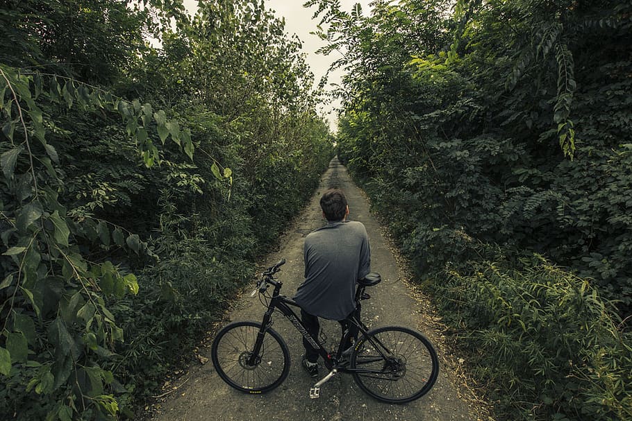 man sitting on bicycle, long road, path, nature, forest, green