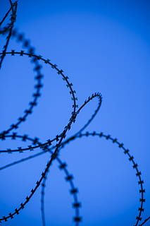 Wire, Prison, Barricade, blue, barbed wire, sharp, macro, engel HD wallpaper