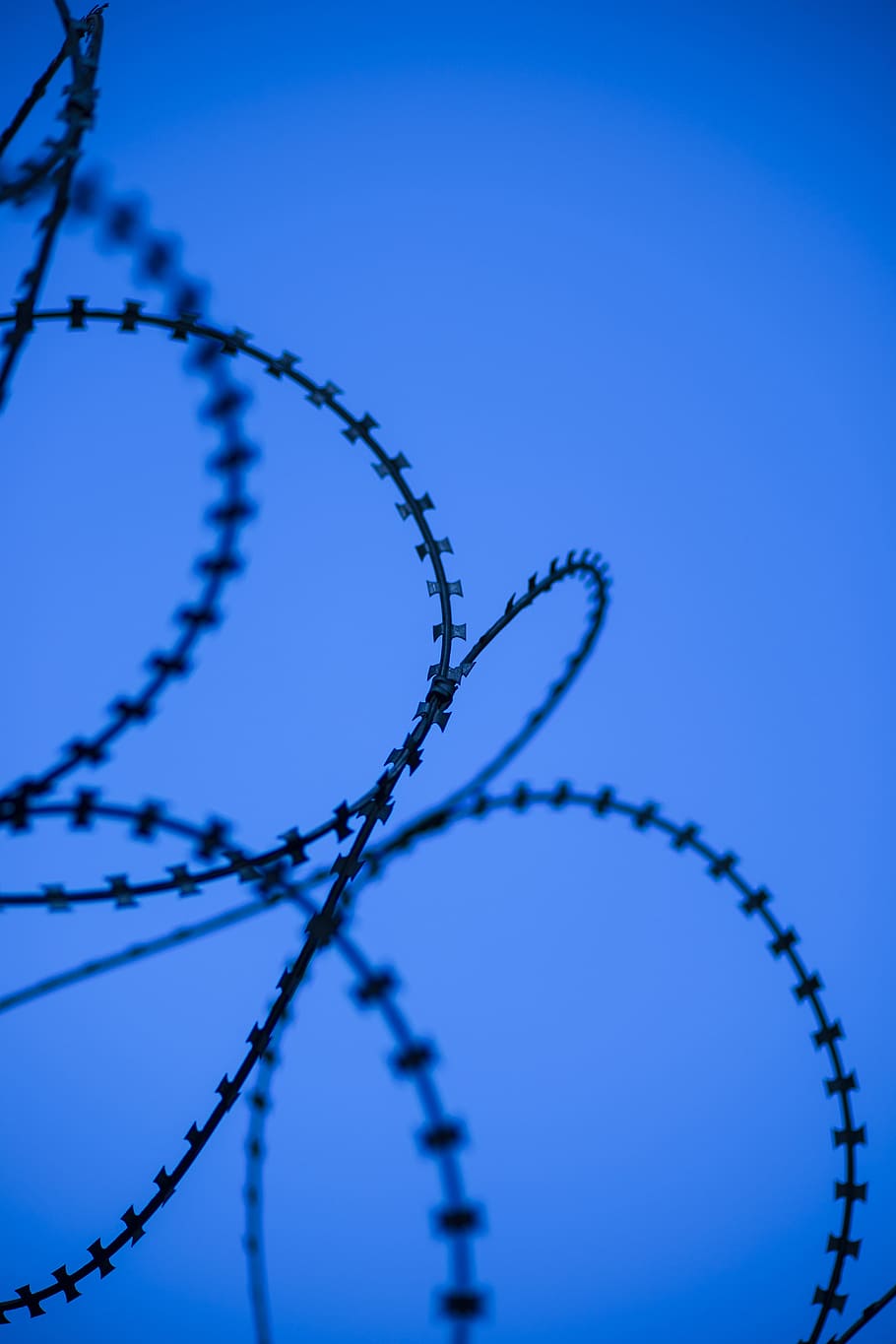Wire, Prison, Barricade, blue, barbed wire, sharp, macro, engel HD wallpaper