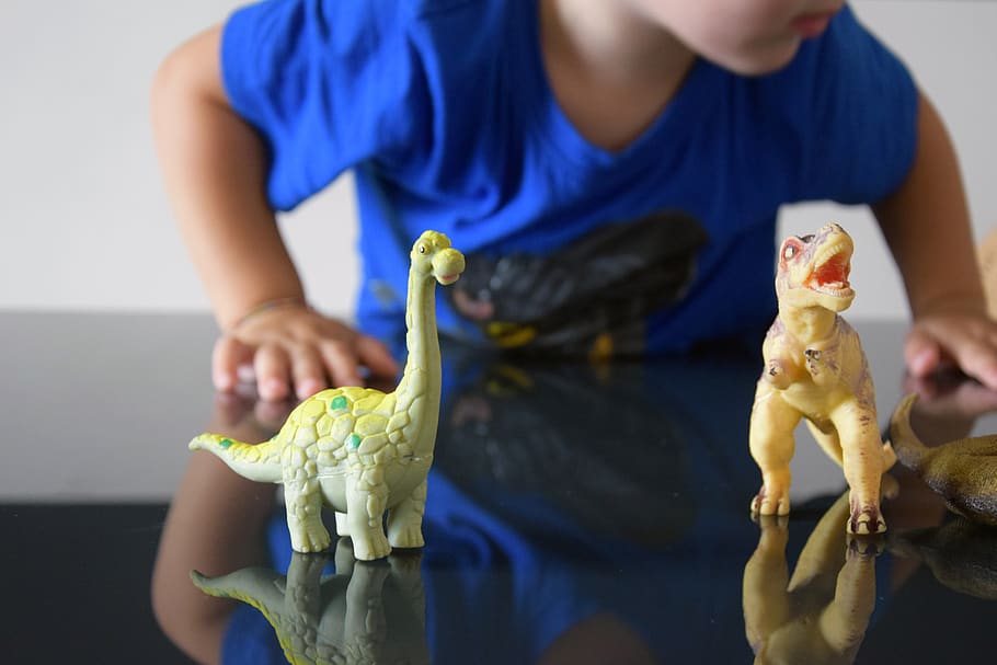 dinosaur, mockup, background, reflection, creative, design HD wallpaper