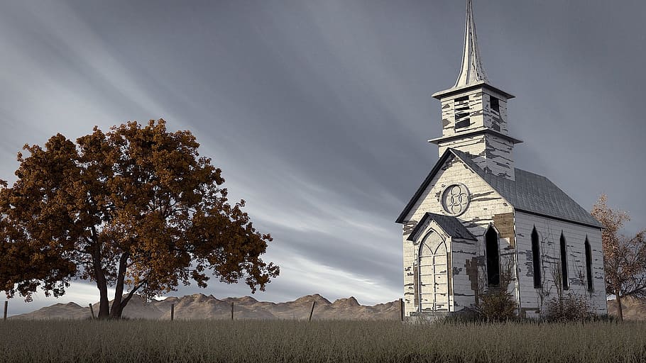 white wooden church near brown leafed tree, sky, landscape HD wallpaper