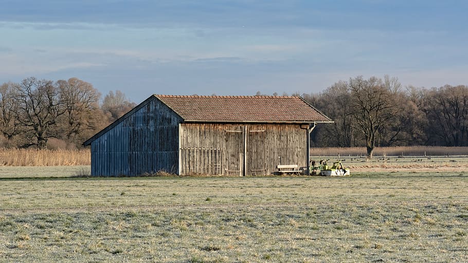 barn, hut, log cabin, nature, field, meadow, vacation, field barn HD wallpaper