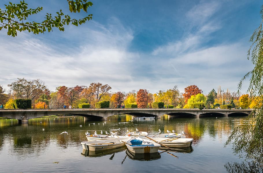 Autumn day, three white boats on body of water near bridge, sky HD wallpaper