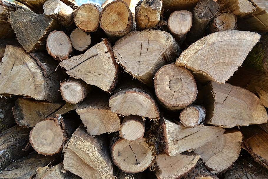logs, firewood, wood pile, heating, slaughter, sawn, shot, cut wood, HD wallpaper