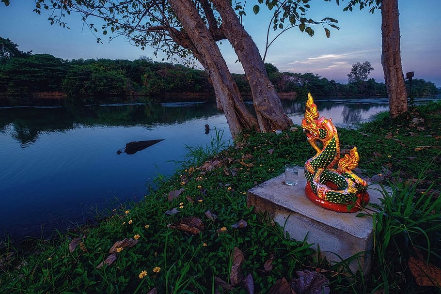 Serpent, Waterfront, Spectacular, tree, dusk, burning, plant HD wallpaper