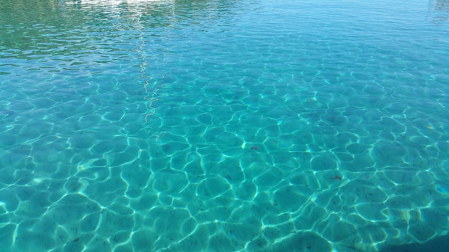 transparency, sea, tranquility, transparent water, calm sea HD wallpaper