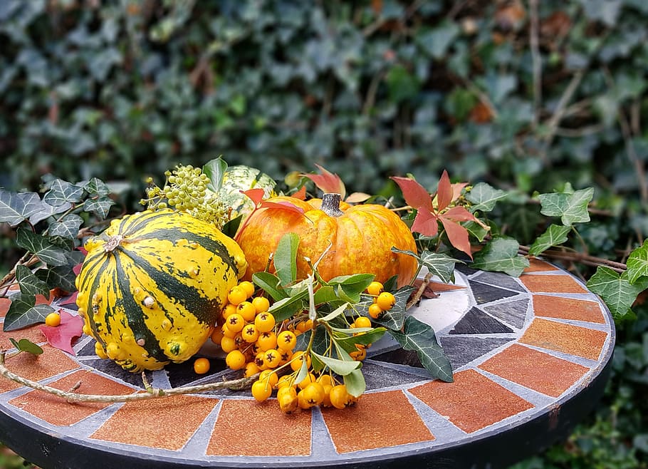 HD wallpaper: autumn, deco, garden, pumpkin, food, food and drink ...