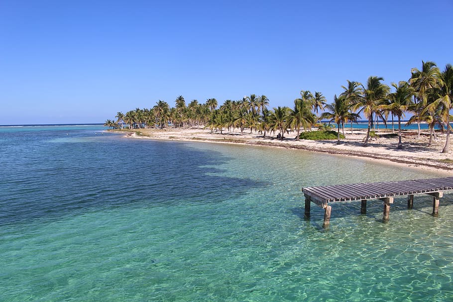 grey wooden sea dock near green coconut trees during daytime HD wallpaper