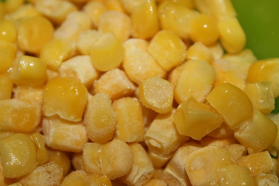 corn, plants, yellow, food, food and drink, freshness, close-up HD wallpaper