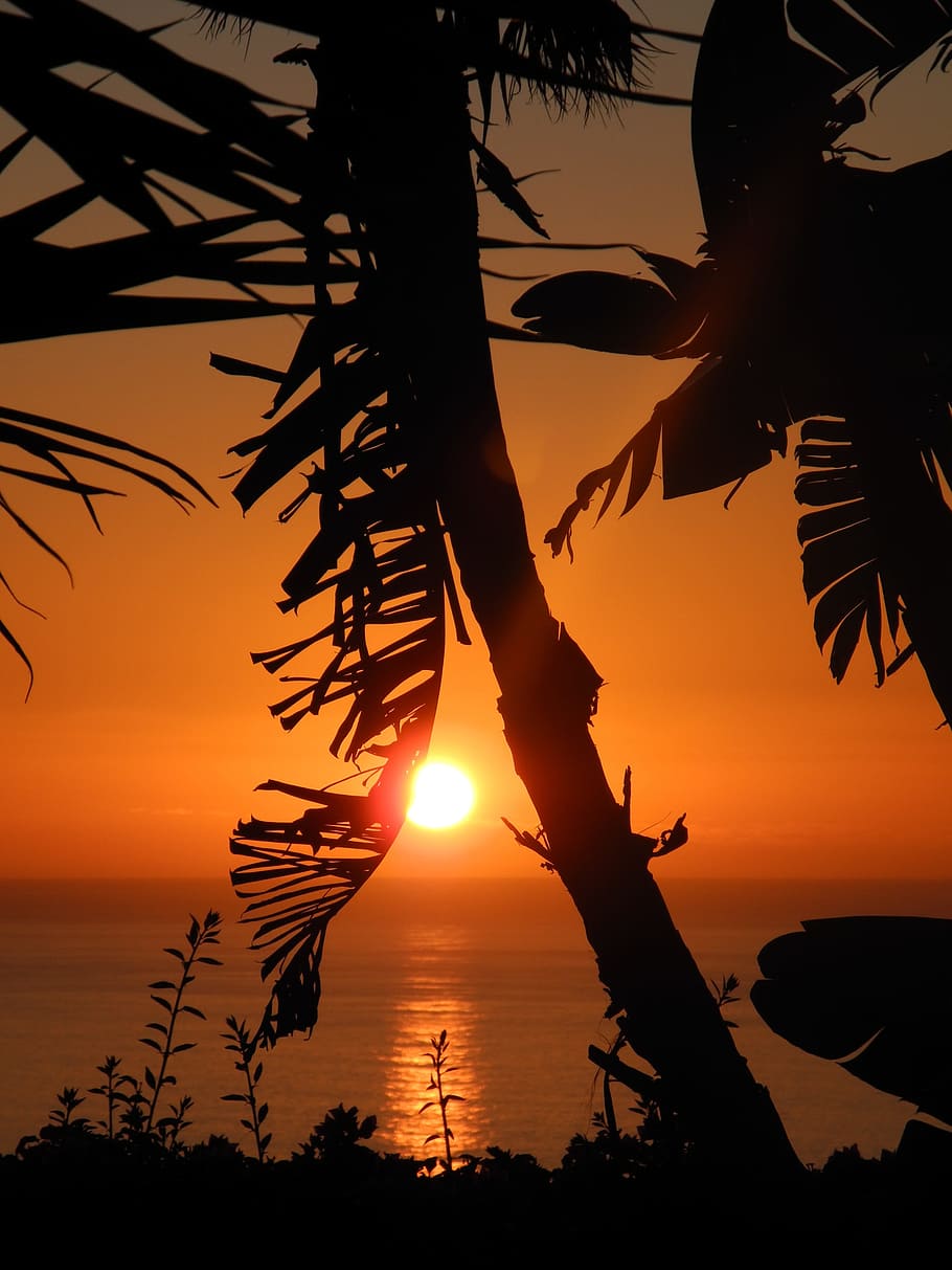 Sunset, Canary Islands, La Palma, Sea, nature, silhouette, beach, HD wallpaper