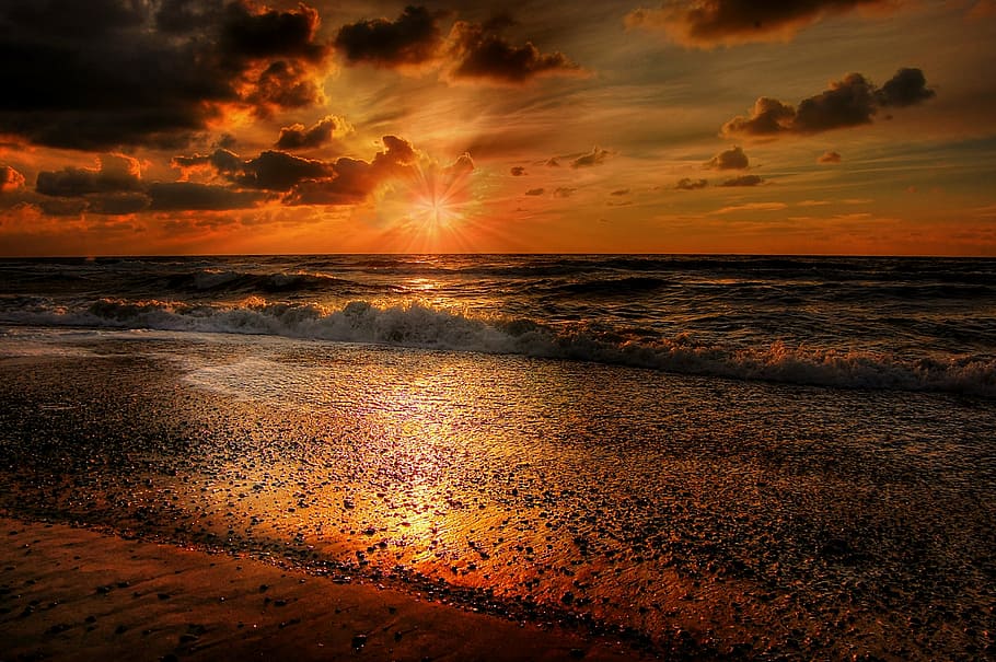 seashore during golden hour, sun, denmark, summer, sunset, nature HD wallpaper
