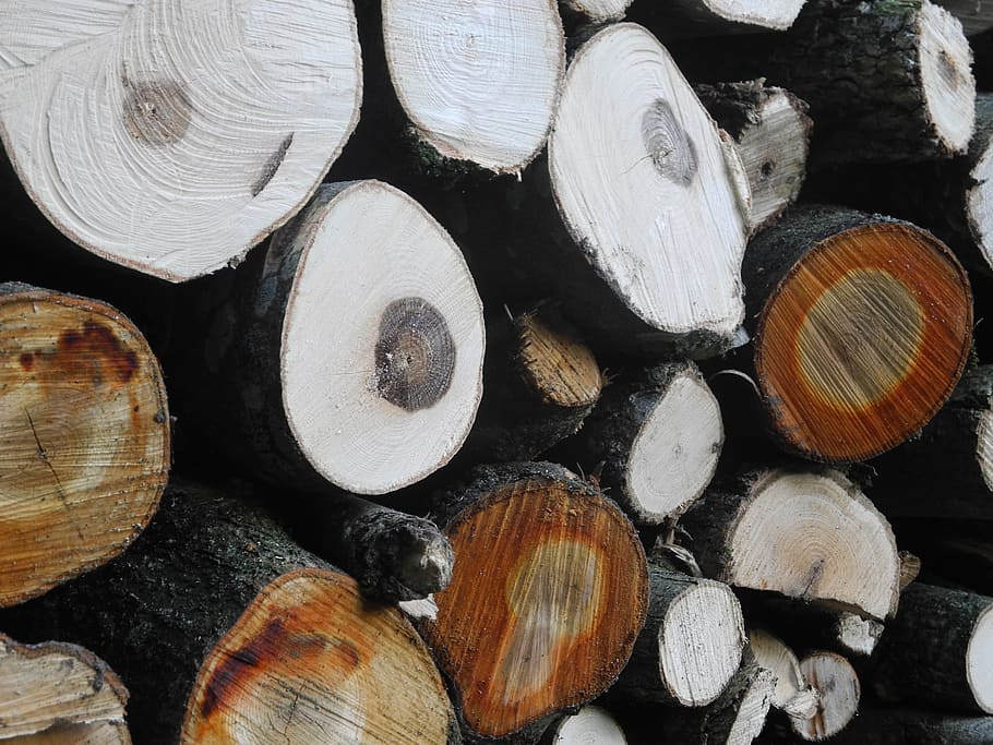 wood, tree trunks, forest, combs thread cutting, nature, laminated wood HD wallpaper