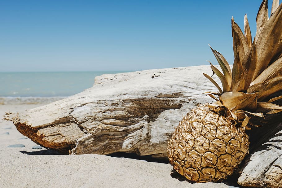pineapple beside driftwood, dessert, appetizer, fruit, juice HD wallpaper