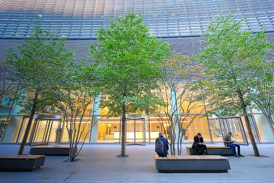 office building, input, tree, computer, home front, office complex HD wallpaper