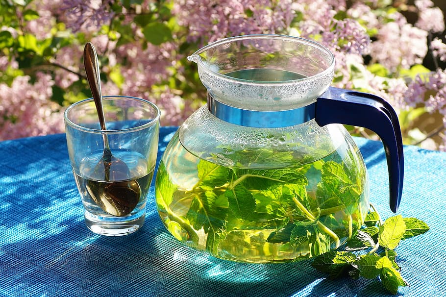 clear glass pitcher on blue table cloth, fresh, mint, tea, herbal HD wallpaper