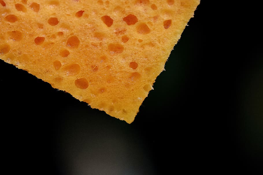 sponge, wet, clean, cleaning, frühjahrsputz, indoors, close-up HD wallpaper