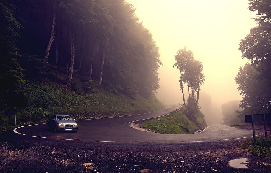 Curve, Cloudy, Road, Car, Fog, Dangerous, tree, outdoors, no people HD wallpaper