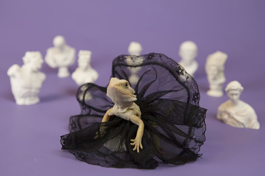 art, reptiles, white, representation, figurine, purple, art and craft HD wallpaper