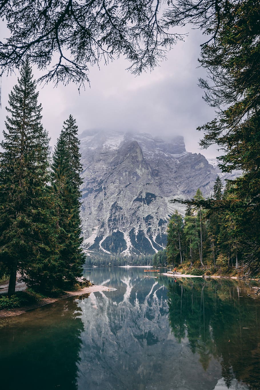 river surrounded by trees near snow mountain, body of water, forest, and snow-covered mountain during daytime HD wallpaper
