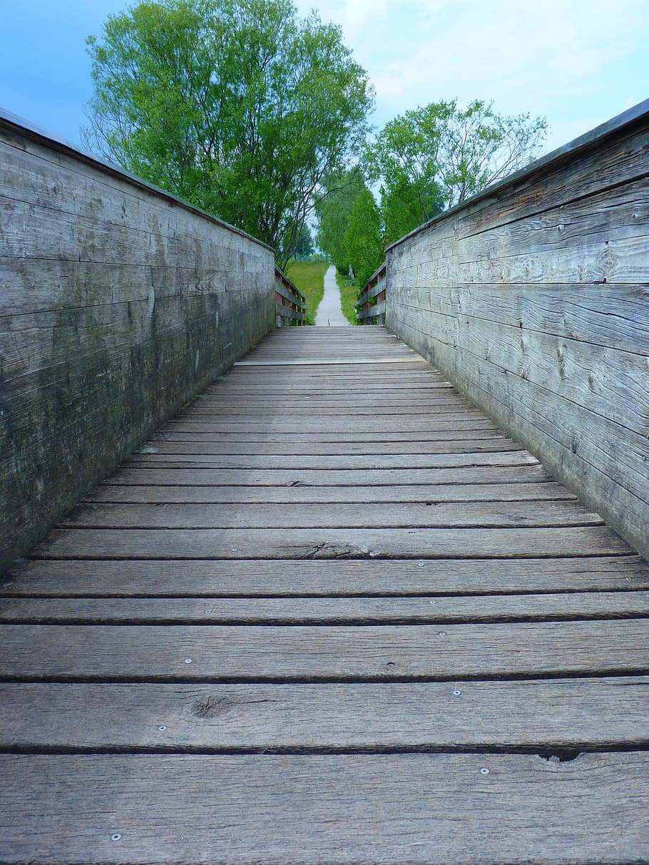 bridge, web, away, the way forward, direction, architecture HD wallpaper