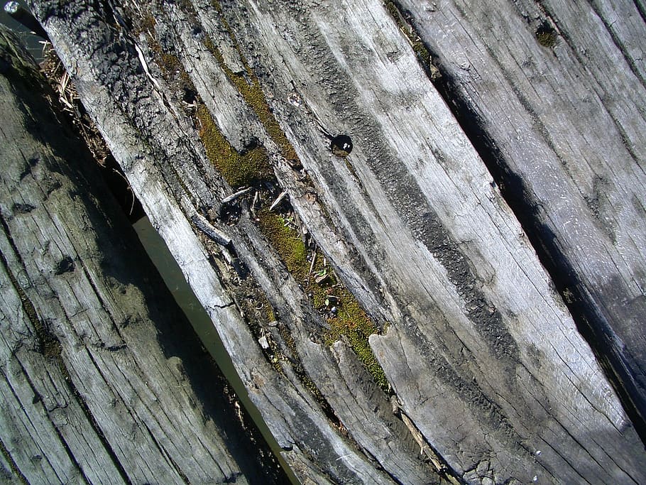 wood, board, beam, textured, wood - material, close-up, no people HD wallpaper
