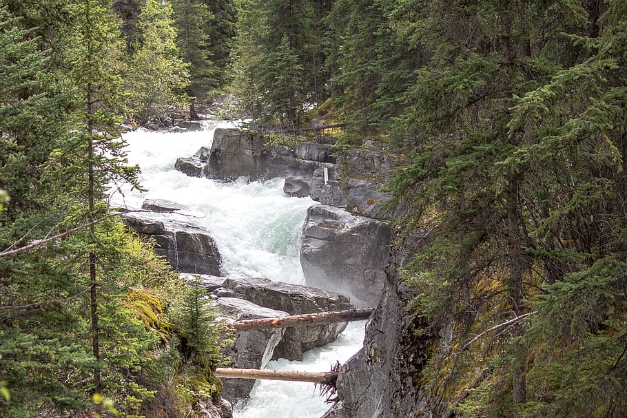 wild river, rapids, maligne, jasper, alberta, water, nature HD wallpaper