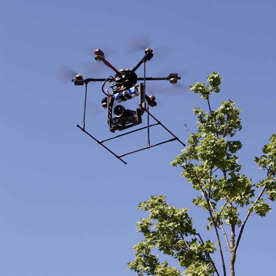 drone, aircraft, sky, low angle view, nature, clear sky, tree HD wallpaper