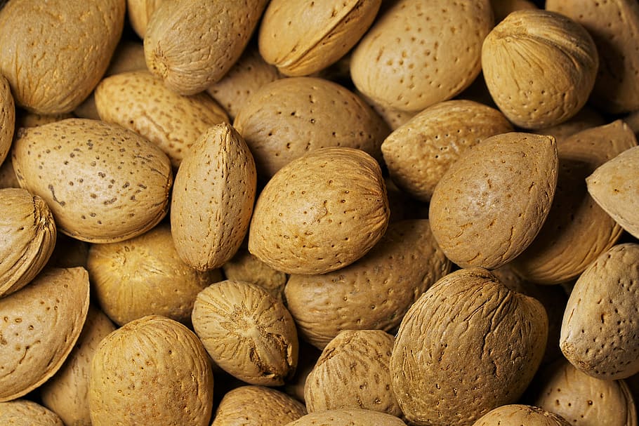bunch of brown seeds, almonds, nuts, nibble, food, delicious HD wallpaper