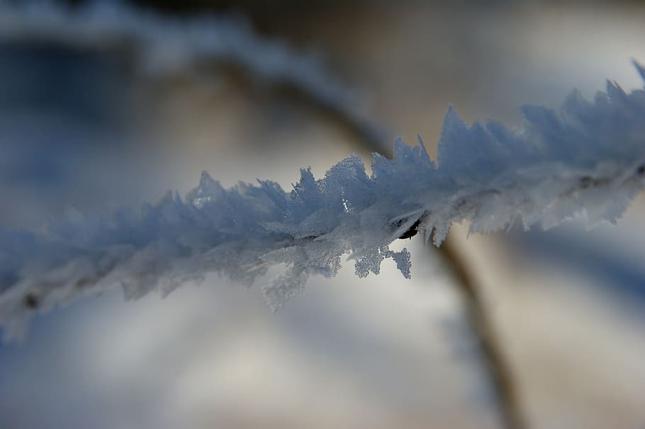 frost, winter, winter magic, ice, frozen, snow, cold - Temperature HD wallpaper