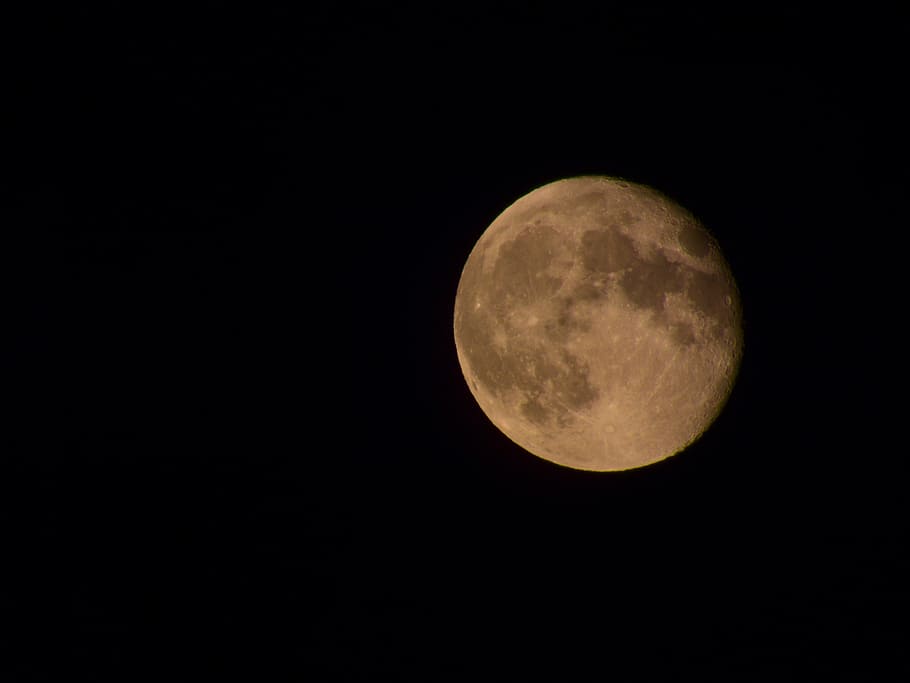 full moon, lunar, white, night, space, astronomy, sky, planetary moon HD wallpaper