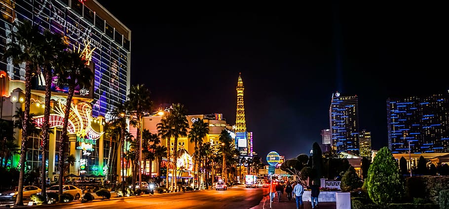 portrait photography of city skyline during night time, las vegas
