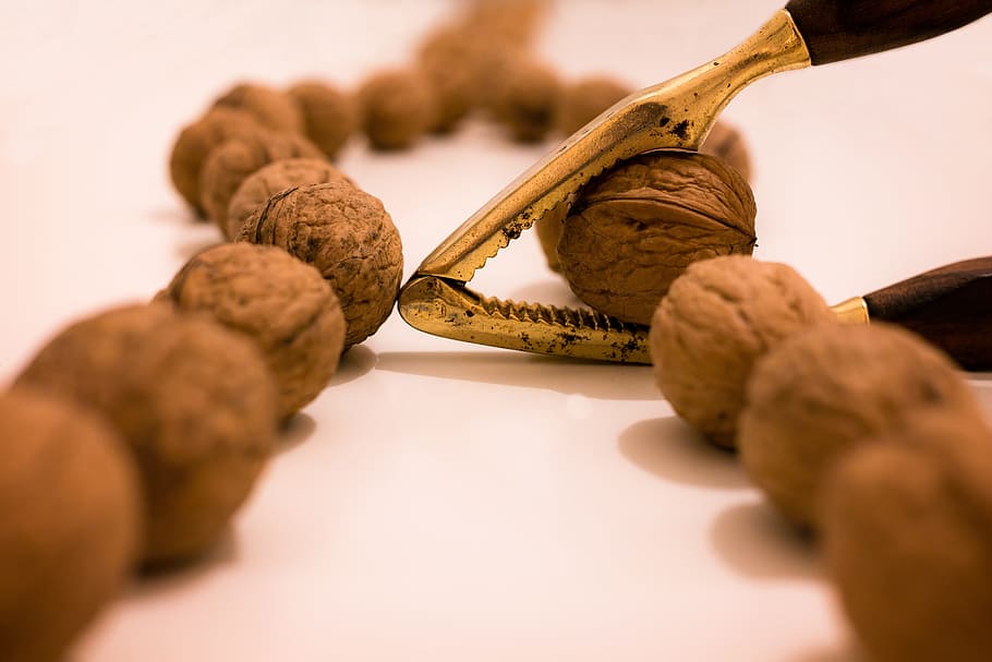 brown nuts with nut opener, walnuts, nutcracker, christmas HD wallpaper