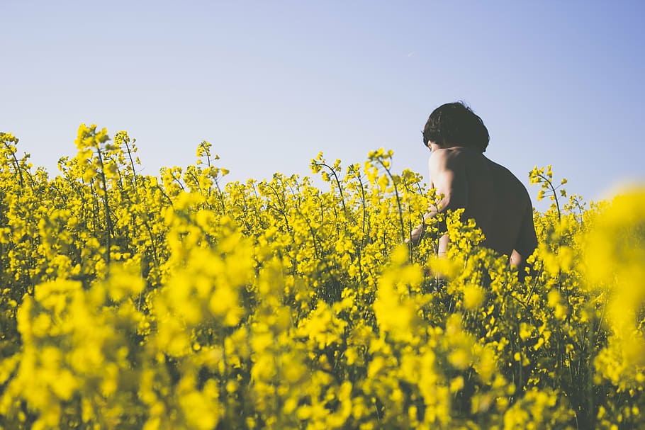 spring, flowers, yellow, man, colorful, nature, flora, floral HD wallpaper