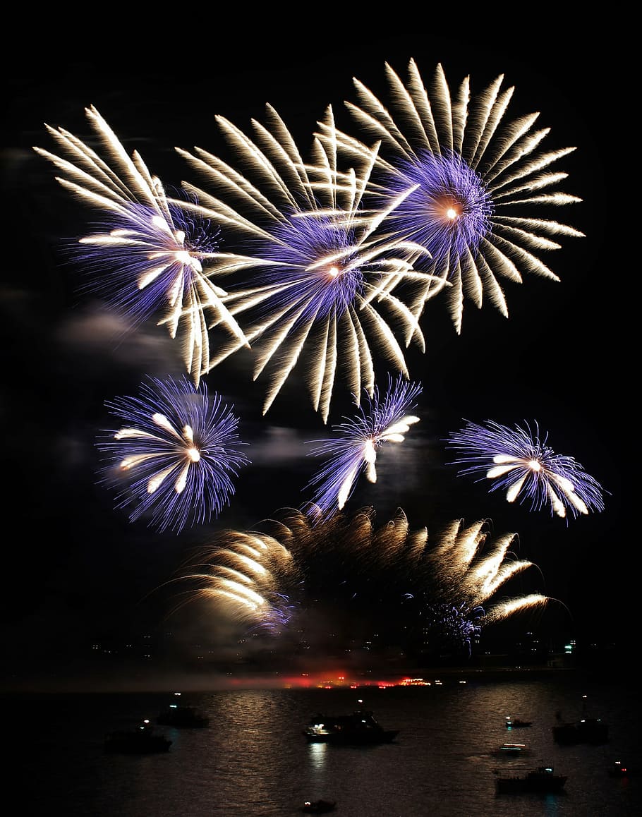 fireworks display, bang, november, reflection, flower, celebration HD wallpaper