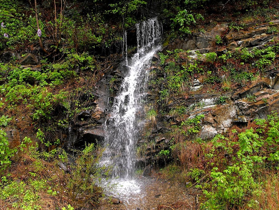 mountains, water, water fall, running, trees, rain, spring HD wallpaper
