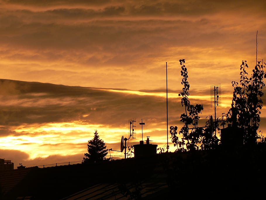 heaven, yellow, glow, trees, sunset, sky, cloud - sky, silhouette HD wallpaper
