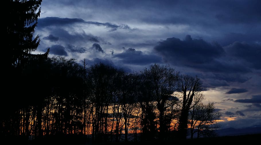 nature, landscape, clouds, sky, dark, rain, forest, tree, cloud - sky HD wallpaper