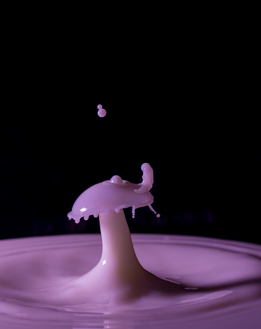 photo of purple liquid, impact, drops, milk, wool, mushroom HD wallpaper