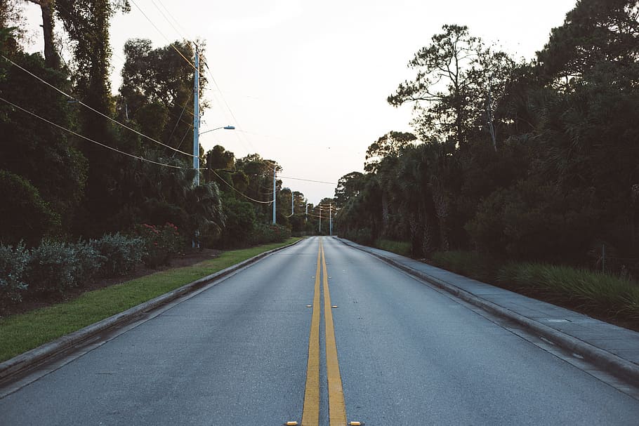 green, plants, grass, trees, nature, outdoor, road, direction HD wallpaper