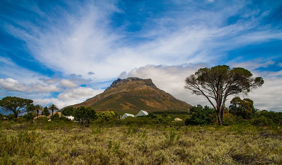 mountain during daytime, Stellenbosch, Cape, Africa, scenery, HD wallpaper