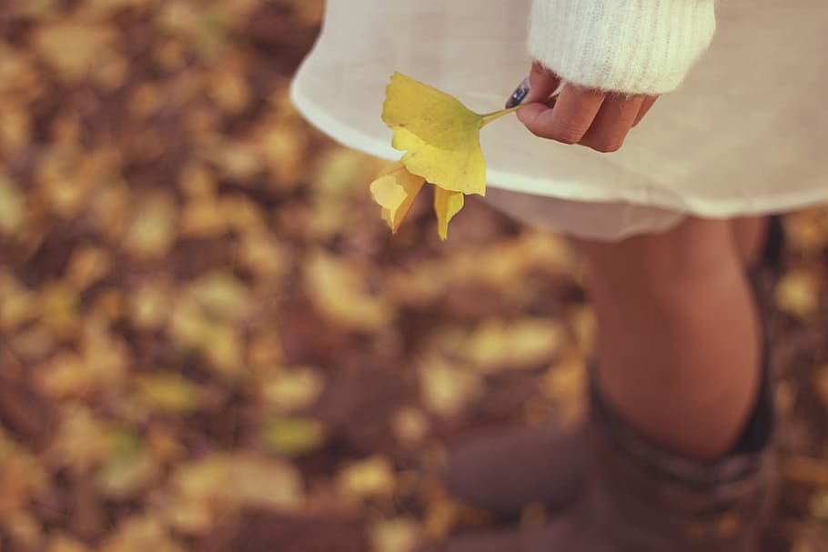 woman on white long sleeve dress holding yellow flower, nature HD wallpaper